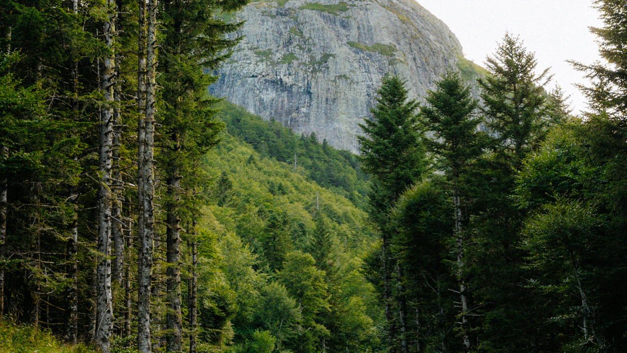 Conducir en Montenegro: todo lo que necesitas saber