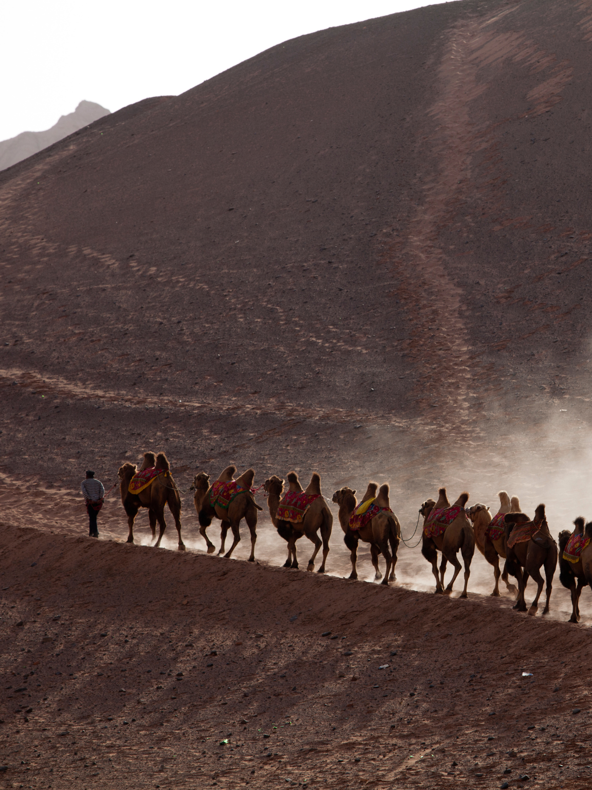 The Silk Road in Uzbekistan: history and itinerary