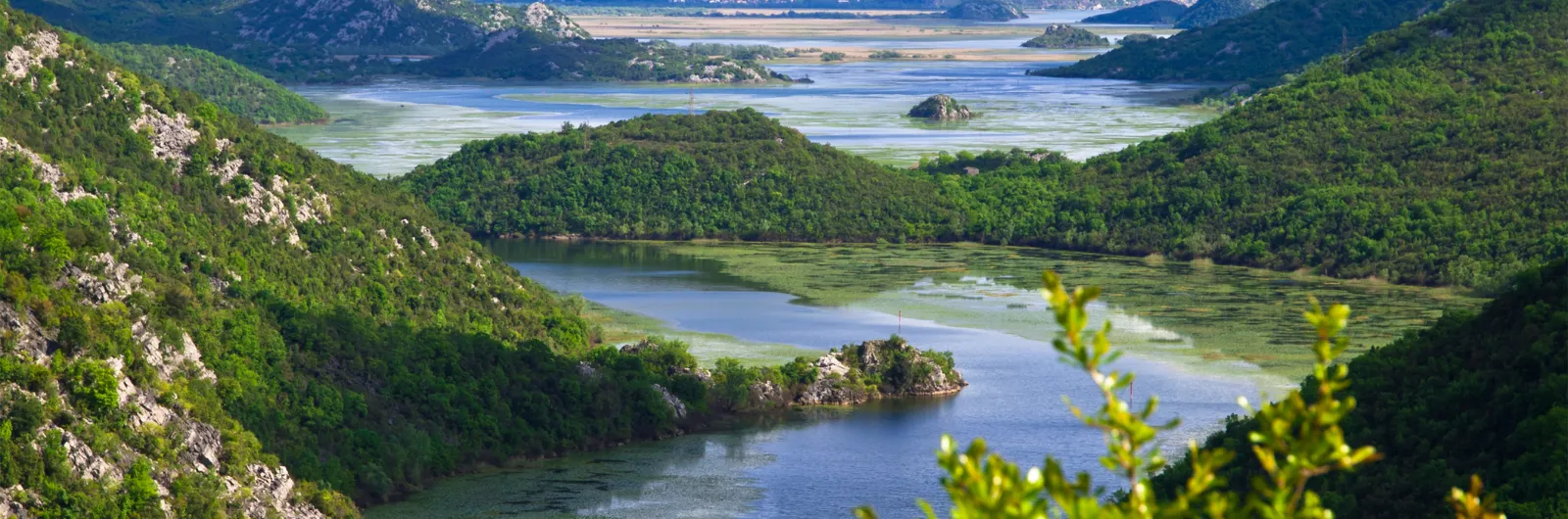 Lake Skadar