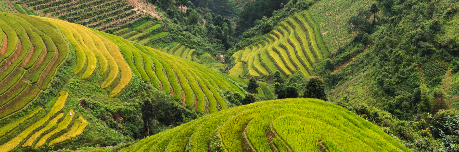 Sapa y el norte montañoso